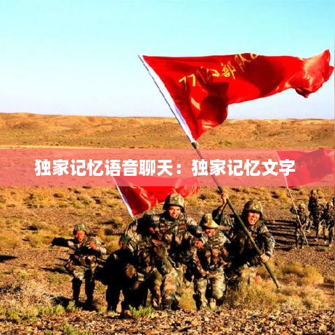 独家记忆语音聊天：独家记忆文字 