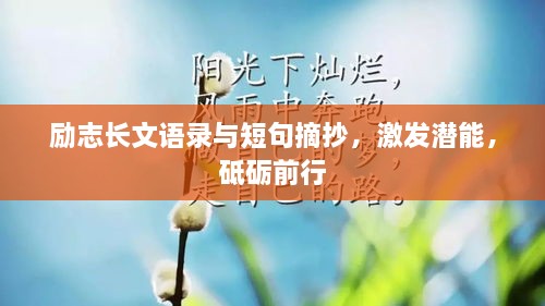 励志长文语录与短句摘抄，激发潜能，砥砺前行