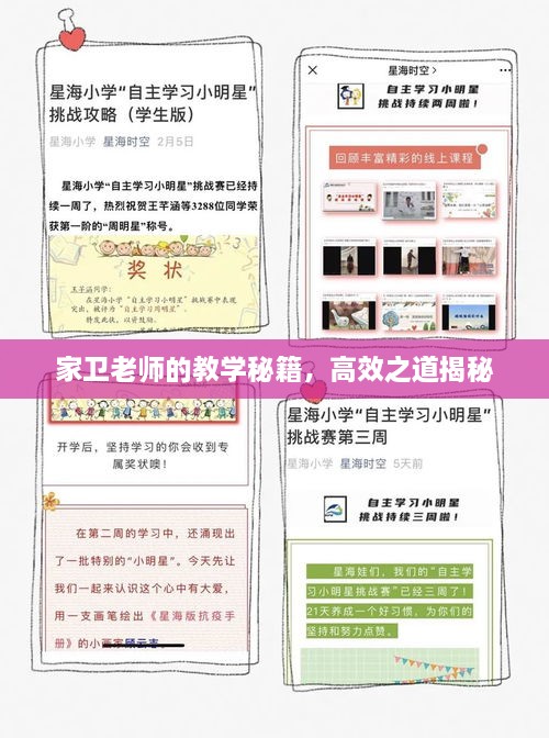 家卫老师的教学秘籍，高效之道揭秘