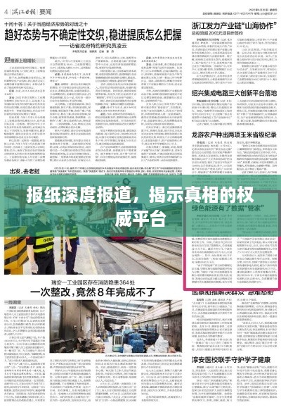 报纸深度报道，揭示真相的权威平台