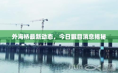 外海桥最新动态，今日瞩目消息揭秘