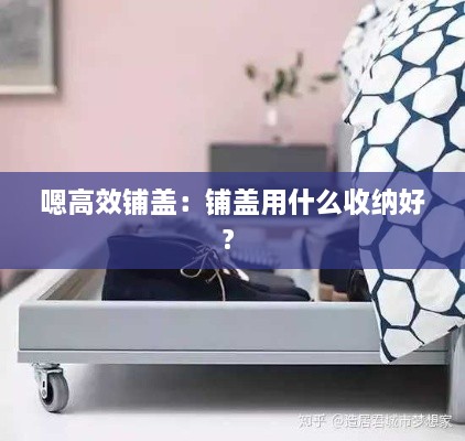 嗯高效铺盖：铺盖用什么收纳好? 
