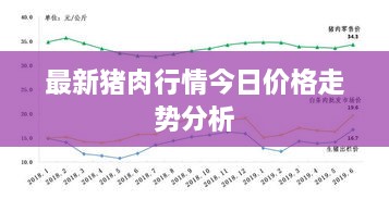 最新猪肉行情今日价格走势分析