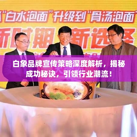 白象品牌宣传策略深度解析，揭秘成功秘诀，引领行业潮流！
