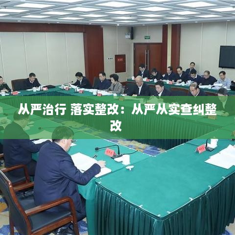 从严治行 落实整改：从严从实查纠整改 