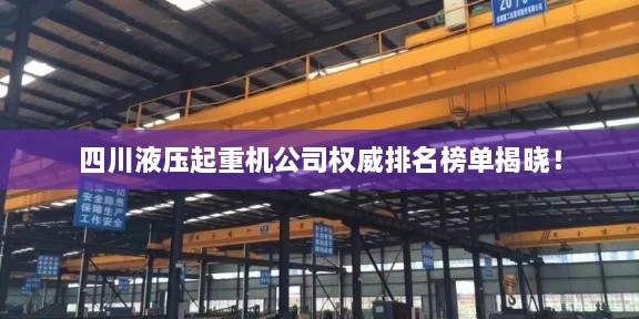 四川液压起重机公司权威排名榜单揭晓！