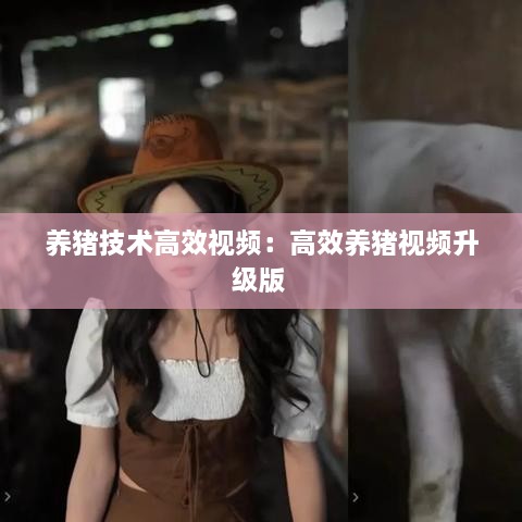 养猪技术高效视频：高效养猪视频升级版 