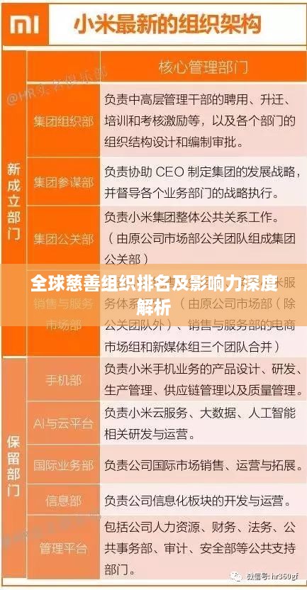 全球慈善组织排名及影响力深度解析
