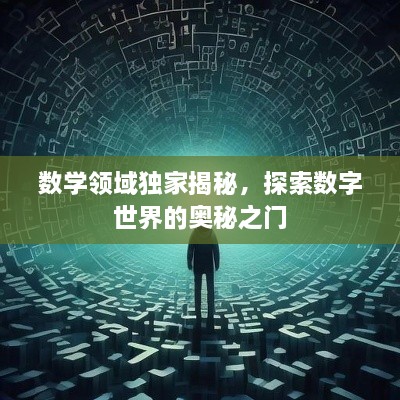 数学领域独家揭秘，探索数字世界的奥秘之门