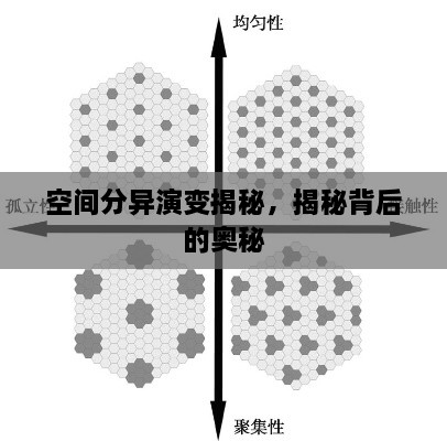 空间分异演变揭秘，揭秘背后的奥秘