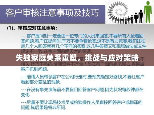 失独家庭关系重塑，挑战与应对策略