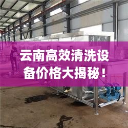 云南高效清洗设备价格大揭秘！