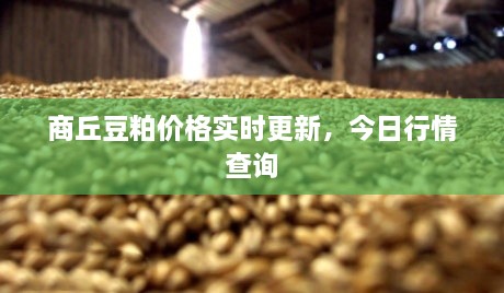 商丘豆粕价格实时更新，今日行情查询