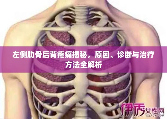 左侧肋骨后背疼痛揭秘，原因、诊断与治疗方法全解析