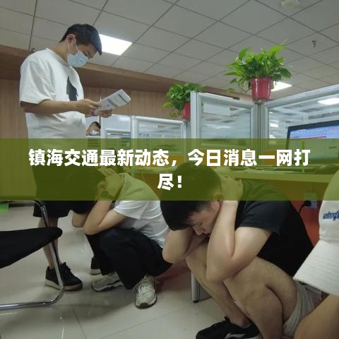 镇海交通最新动态，今日消息一网打尽！