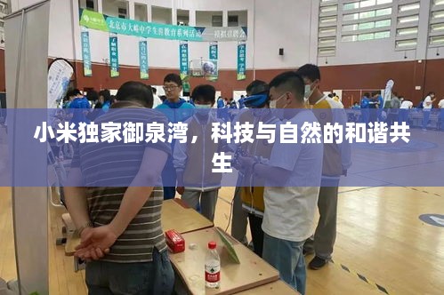 小米独家御泉湾，科技与自然的和谐共生