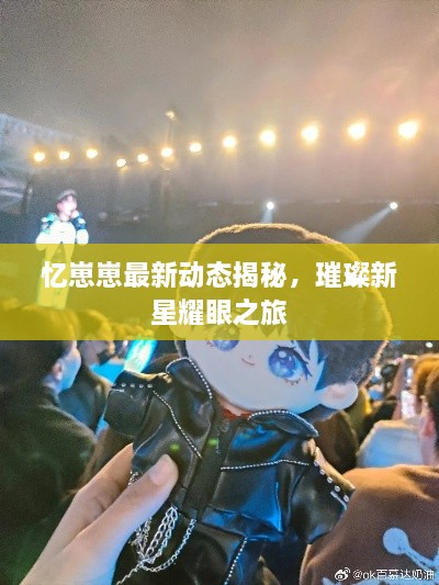 忆崽崽最新动态揭秘，璀璨新星耀眼之旅