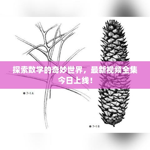 瑞雪飞舞 第2页