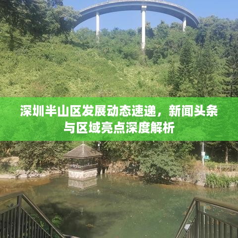 深圳半山区发展动态速递，新闻头条与区域亮点深度解析
