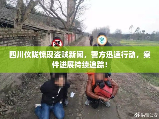 四川仪陇惊现盗贼新闻，警方迅速行动，案件进展持续追踪！