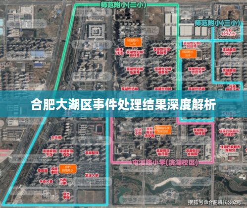 合肥大湖区事件处理结果深度解析
