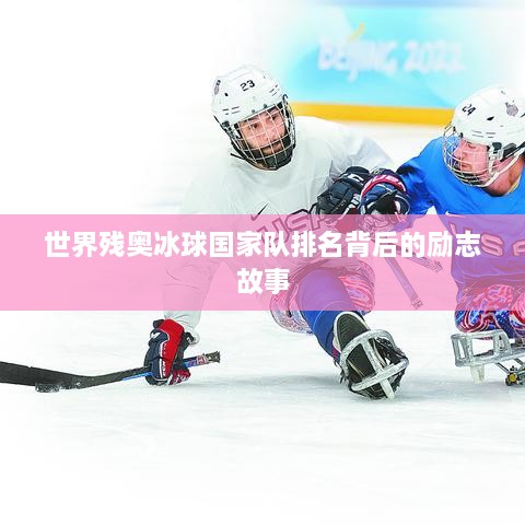 世界残奥冰球国家队排名背后的励志故事