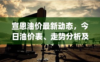 宣恩油价最新动态，今日油价表、走势分析及影响因素全解析