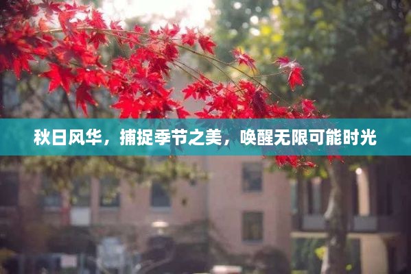 秋日风华，捕捉季节之美，唤醒无限可能时光