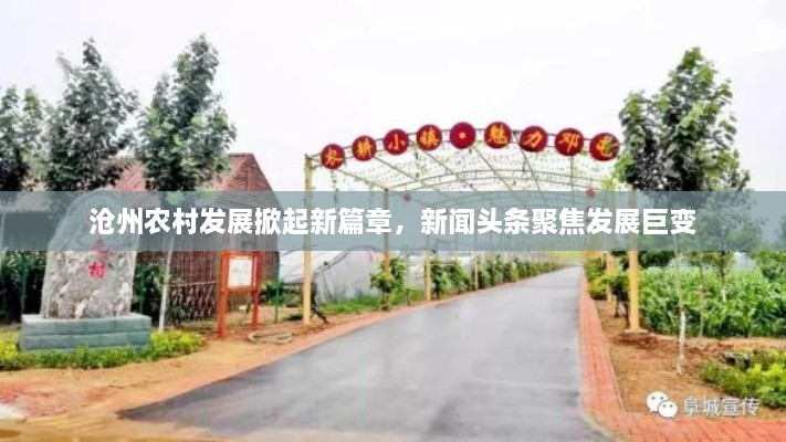 沧州农村发展掀起新篇章，新闻头条聚焦发展巨变