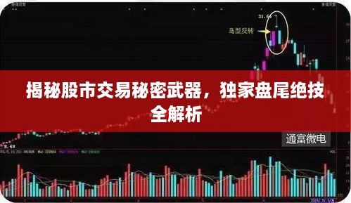 揭秘股市交易秘密武器，独家盘尾绝技全解析