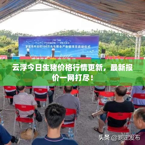云浮今日生猪价格行情更新，最新报价一网打尽！