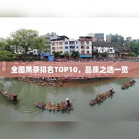 全国黑茶排名TOP10，品质之选一览