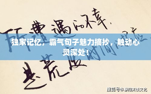 独家记忆，霸气句子魅力摘抄，触动心灵深处！