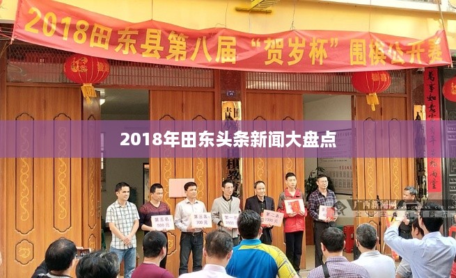 2018年田东头条新闻大盘点