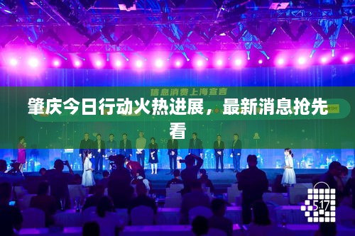 肇庆今日行动火热进展，最新消息抢先看