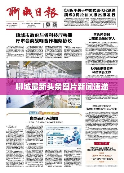 聊城最新头条图片新闻速递