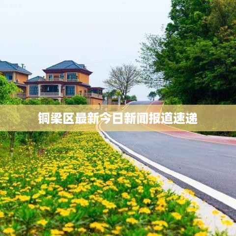 铜梁区最新今日新闻报道速递