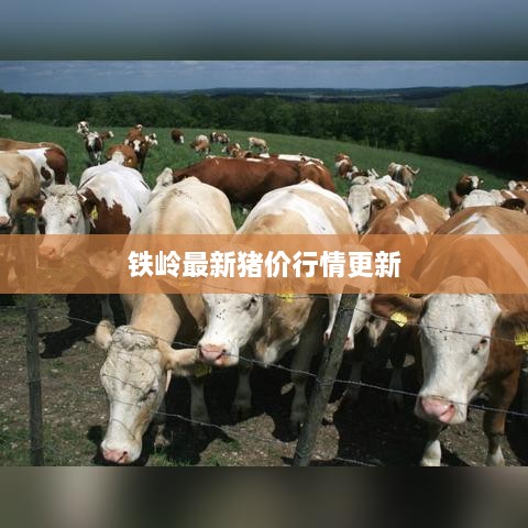 通宵达旦 第2页