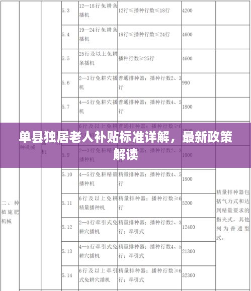 单县独居老人补贴标准详解，最新政策解读