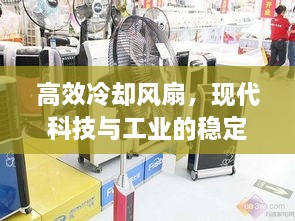 高效冷却风扇，现代科技与工业的稳定冷却解决方案专家