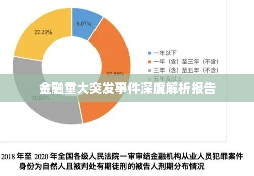 金融重大突发事件深度解析报告