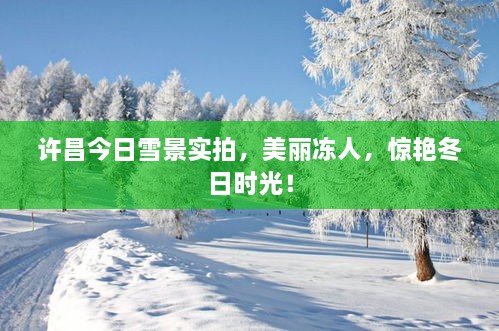 许昌今日雪景实拍，美丽冻人，惊艳冬日时光！
