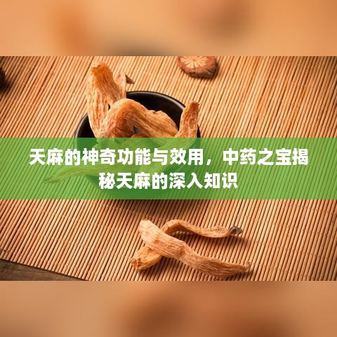 天麻的神奇功能与效用，中药之宝揭秘天麻的深入知识