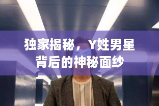 独家揭秘，Y姓男星背后的神秘面纱