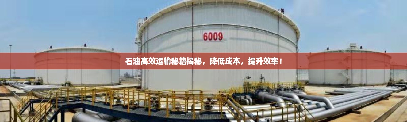 石油高效运输秘籍揭秘，降低成本，提升效率！