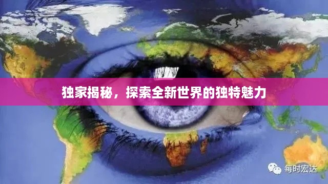 独家揭秘，探索全新世界的独特魅力