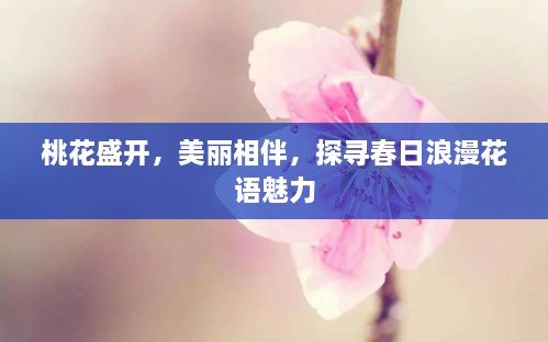 桃花盛开，美丽相伴，探寻春日浪漫花语魅力