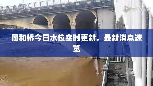 同和桥今日水位实时更新，最新消息速览