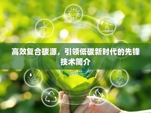 高效复合碳源，引领低碳新时代的先锋技术简介