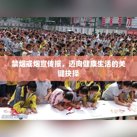 禁烟戒烟宣传报，迈向健康生活的关键抉择